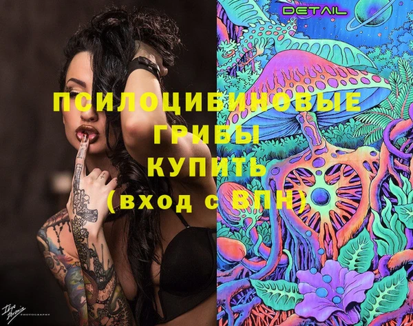 2c-b Алексин