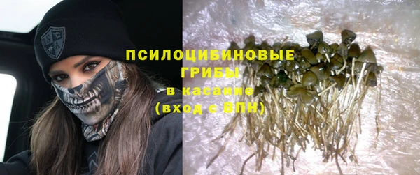 2c-b Алексин